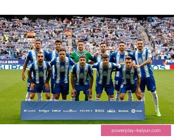 德甲夏窗后卫转会情况分析与市场动态变化